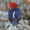 Magellanic Woodpecker Diamond Painting