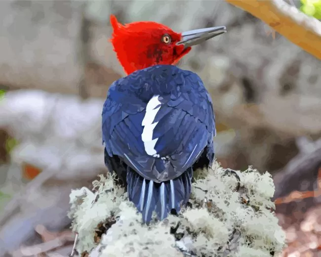 Magellanic woodpecker Diamond Paints Magellanic Woodpecker Diamond Painting