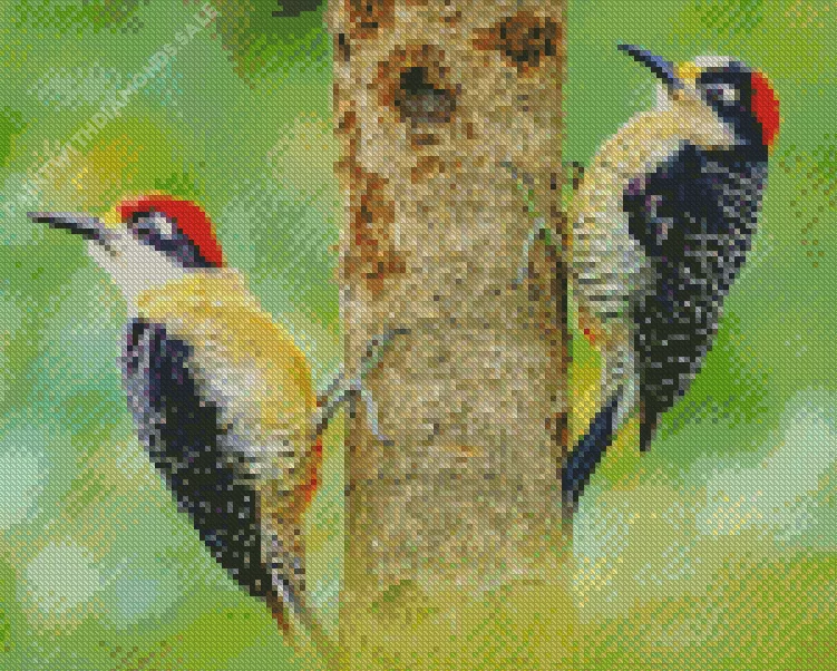 Melanerpes Diamond By Numbers Melanerpes Diamond Painting