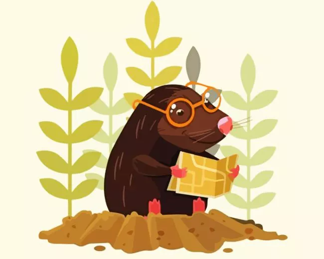 Mole reading a book Diamond Paintings Mole Reading A Book Diamond Painting