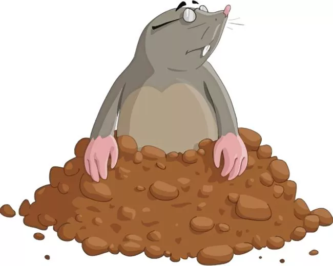 Mole standing on mud Diamond Paintings Mole Standing On Mud Diamond Painting