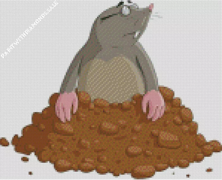 Mole standing on mud7 Diamond By Numbers Mole Standing On Mud Diamond Painting