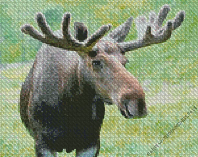 Moose Diamond By Numbers Moose Diamond Painting