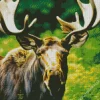Moose And Big Antlers Diamond Painting