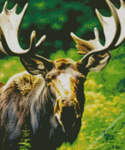 Moose And Big Antlers Diamond Painting