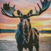 Moose And Sunset Diamond Painting