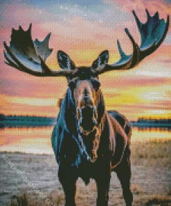 Moose And Sunset Diamond Painting