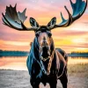 Moose And Sunset Diamond Painting