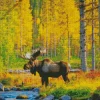 Moose In A Forest Diamond Painting