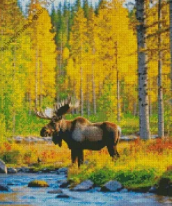 Moose In A Forest Diamond Painting