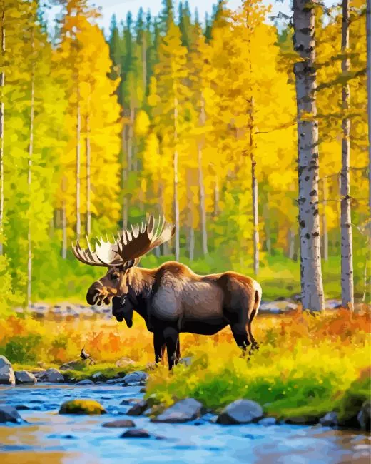 Moose in a forest Diamond Paintings Moose In A Forest Diamond Painting
