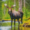 Moose In A Lake Diamond Painting