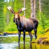 Moose In A Lake Diamond Painting
