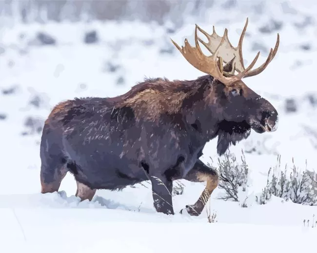 Moose in snow Diamond Paintings Moose In Snow Diamond Painting