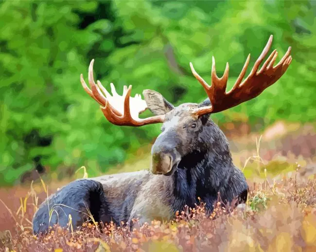 Moose with big antlers Diamond Paintings Moose With Big Antlers Diamond Painting