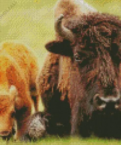Mother And Calf Bisons Diamond Painting