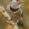 Northern Flicker Art Diamond Painting