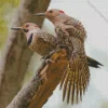 Northern Flickers Diamond Painting