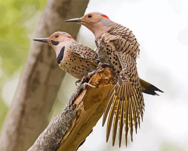 Northern flickers Diamond With Numbers Northern Flickers Diamond Painting