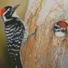 Nuttalls Woodpecker Diamond Painting