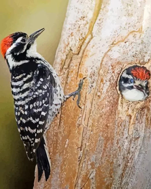 Nuttalls woodpecker Diamond Paints Nuttalls Woodpecker Diamond Painting