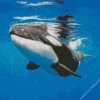 Orca Underwater Diamond Painting