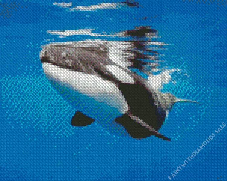 Orca underwater Diamond Paintings Orca Underwater Diamond Painting