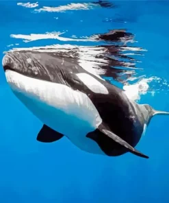 Orca Underwater Diamond Painting
