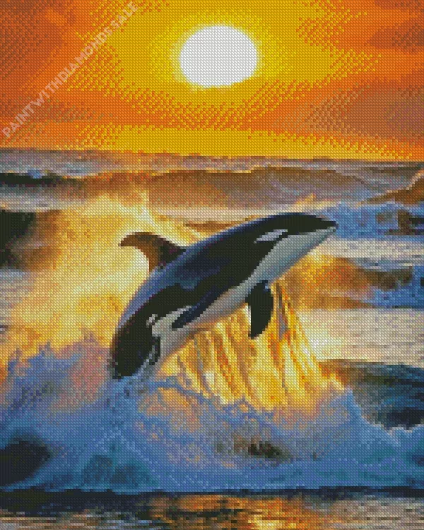 Orca whale and sunset Diamond Paintings Orca Whale And Sunset Diamond Painting
