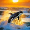 Orca Whale And Sunset Diamond Painting