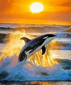 Orca Whale And Sunset Diamond Painting