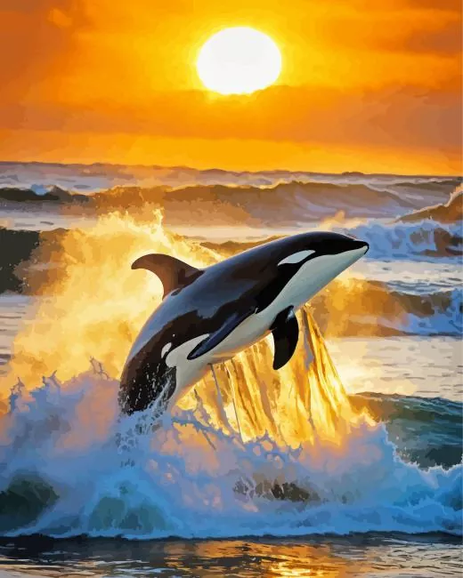 Orca whale and sunset Diamond With Numbers Orca Whale And Sunset Diamond Painting