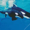 Orca Whales Couple Diamond Painting