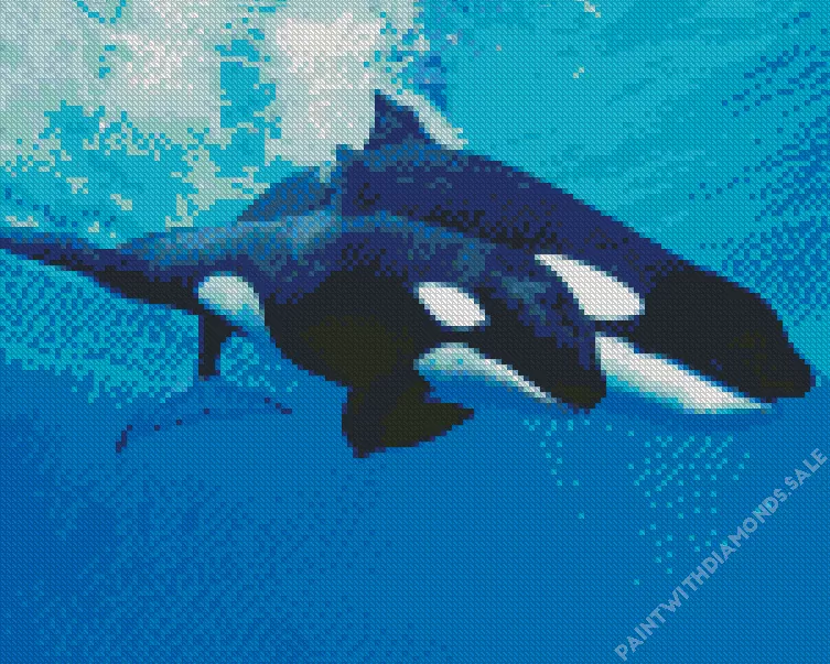 Orca whales couple Diamond Paintings Orca Whales Couple Diamond Painting