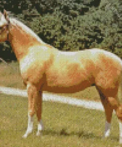 Palomino Diamond Painting