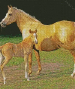 Palomino Horses Diamond Painting