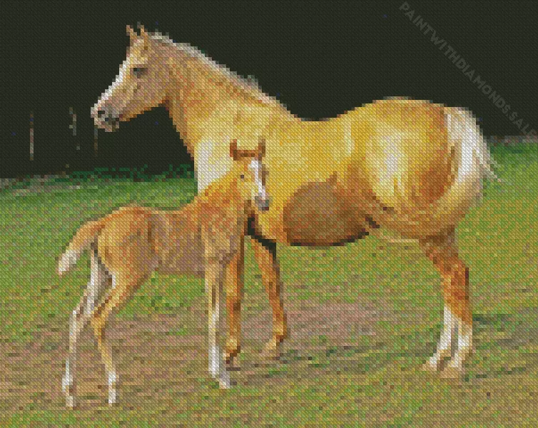 Palomino Horses Diamond By Numbers Palomino Horses Diamond Painting