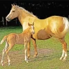 Palomino Horses Diamond Painting