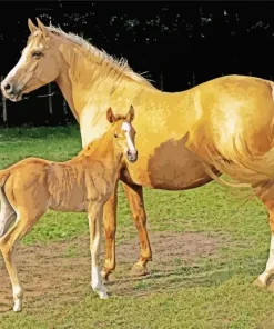 Palomino Horses Diamond Painting