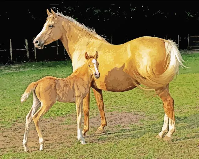 Palomino Horses Diamond Paintings Palomino Horses Diamond Painting