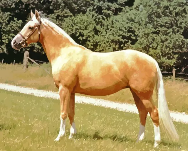 Palomino art Diamond Paintings Palomino Diamond Painting