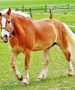 Palomino Horse Diamond Painting