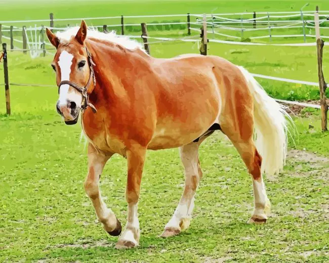 Palomino horse Diamond Paintings Palomino Horse Diamond Painting