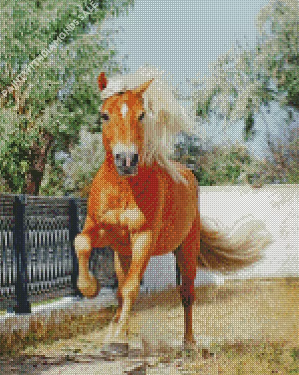 Palomino horse galloping Diamond By Numbers Palomino Horse Galloping Diamond Painting