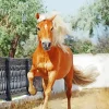 Palomino Horse Galloping Diamond Painting