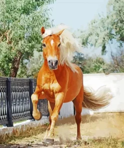 Palomino Horse Galloping Diamond Painting