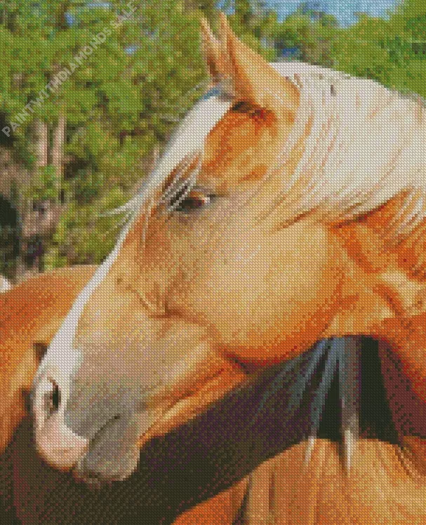 Palomino horse head Diamond By Numbers Palomino Horse Head Diamond Painting