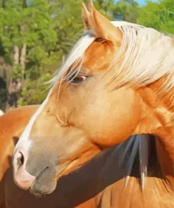 Palomino Horse Head Diamond Painting