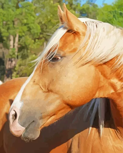 Palomino horse head Diamond Paintings Palomino Horse Head Diamond Painting