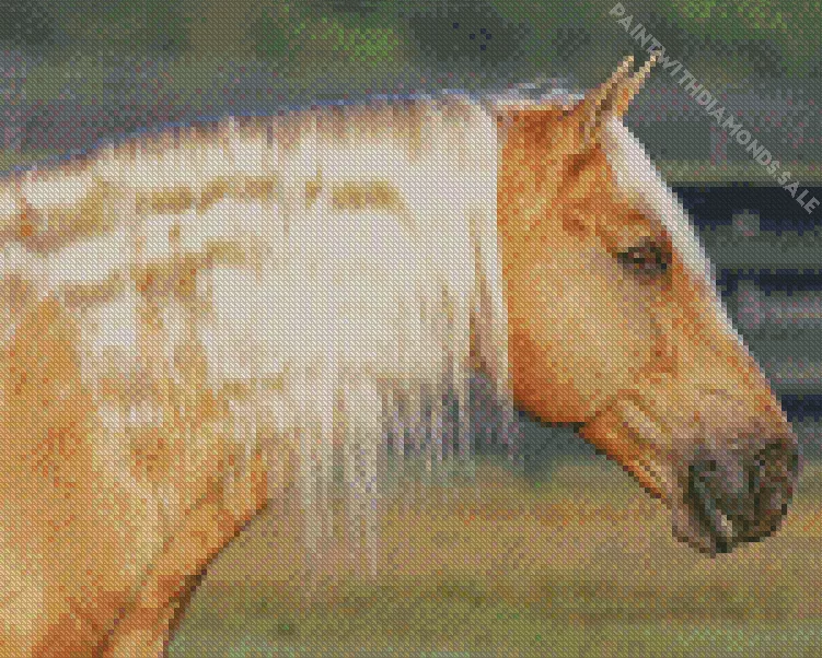 Palomino horse with blonde hair Diamond By Numbers Palomino Horse With Blonde Hair Diamond Painting